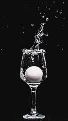 fresh water splashing, while an egg falling in to a wine glass.