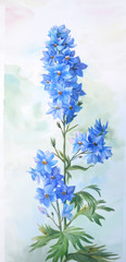 Obraz premium Blue larkspur with buds and leaves isolated on a white background.