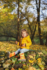 Little funny girl in stylish yellow warm jacket, jeans, orange rubber boots sits on old tree stump in autumn forest or park outdoors. Maple leaves foliage on ground. Concept fall family photo shoot