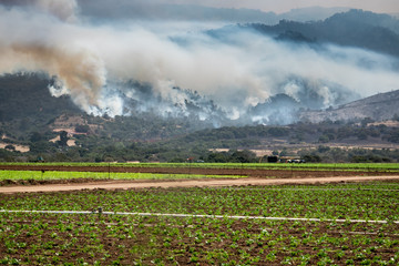 The California "River Fire" in rages through the hills of Salinas, in Monterey County, with workers in the agricultural fields below. 