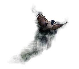 crow flying from dark grey smoke on white