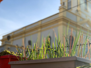 horta