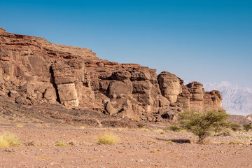 Fototapeta premium View of the Solomon Pillars in Timna Park near Eilat, Arava Valley. Israel. 