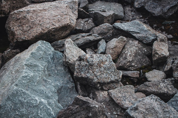 Close up of stones and rock with mosses and lichens. Arctic flora.