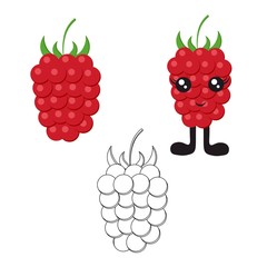 Bright raspberry with cute cartoon eyes and legs in a flat style isolated on a white background. Vegetarianism with berries and proper nutrition.
 Stock vector illustration for decoration and design.