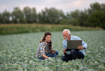 Two farmers with laptop in vegetable garden