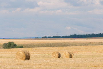 Obraz premium Field with straw bales after harvest on a background cloudy sky