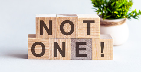 A wooden block with the words NOT ONE written on it on a white background
