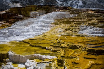 mineral spring pools in Yellowstone National Park