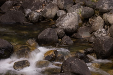 Water flowing over rocks in a small stream in Nelson, BC.