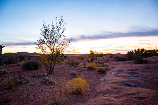 Moab Mountain Biking In The Desert