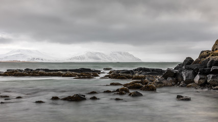 Obraz premium Solitude