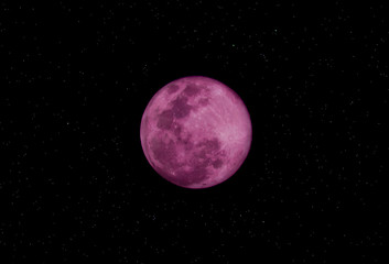 Fototapeta na wymiar super pink moon april with starry background