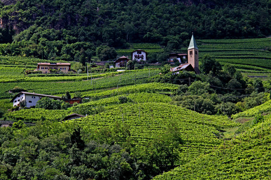 masi con chiesatta e vigneti presso Bolzano