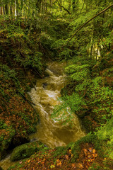 Obraz premium A long exposure view over the stream feeding the waterfalls at Ffynone, Wales after heavy rainfall