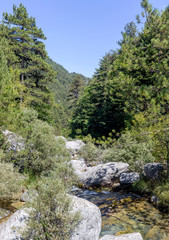 Fototapeta na wymiar Cold, mountain river flows on a sunny summer day