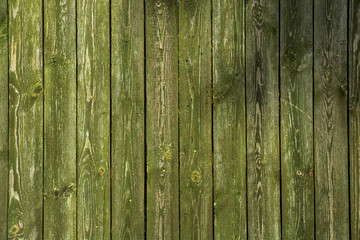 Texture of old boards with shabby green paint. Background