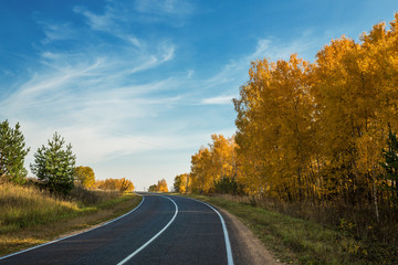 Highway, road and autumn trees with blue sky. Beautiful autumn natural landscape