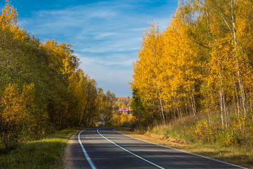 Highway, road and autumn trees with blue sky. Beautiful autumn natural landscape