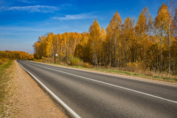 Fototapeta premium Highway, road and autumn trees with blue sky. Beautiful autumn natural landscape