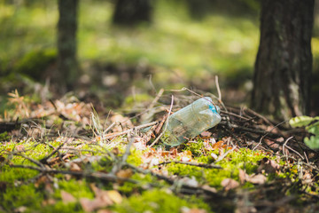 Naklejka na ściany i meble Plastic bottle rubbish left in the forest or park 