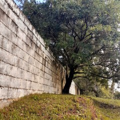 old stone wall