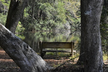 Bench by pond