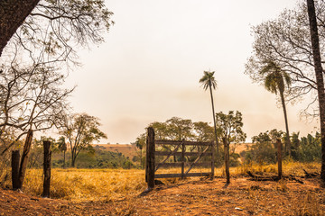 Fototapeta premium Wooden gate in the foreground, with pastures and scattered trees in shades of yellow and brown in the background, capturing a rural landscape during the dry season