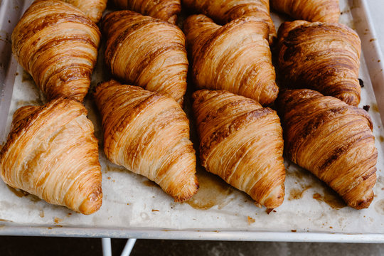 Close up of fresh-baked french croissants pastry on a tray.