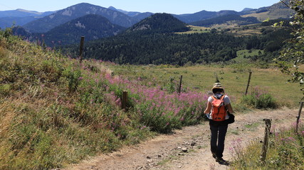 paysages du M&eacute;zenc
