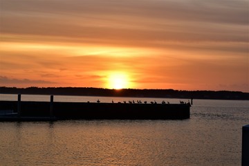 Sunset at the harbor