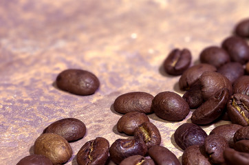 dark roasted coffee beans in brown tones