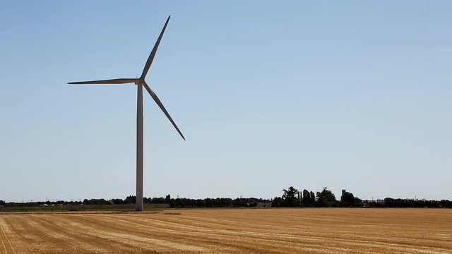 Footage of a windturbine rotating in a wheat field.