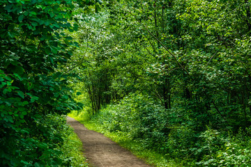 Fototapeta premium Walking at St Charles River