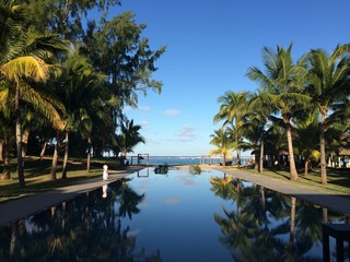Mauritius Island.  Exotic paradise island in Indian ocean. View on blue infinity pool and lush green palms.