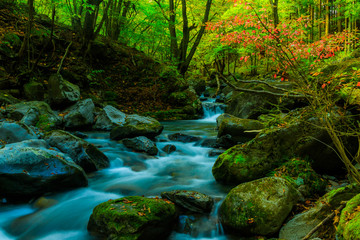 静かな秋の渓流
