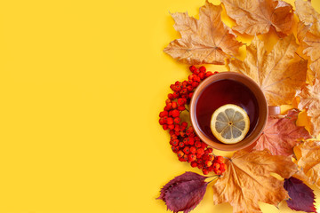 Yellow autumn background with tea in a cup, colorful leaves and rowan fruits
