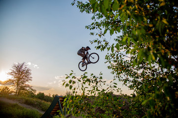 biker jumping tree