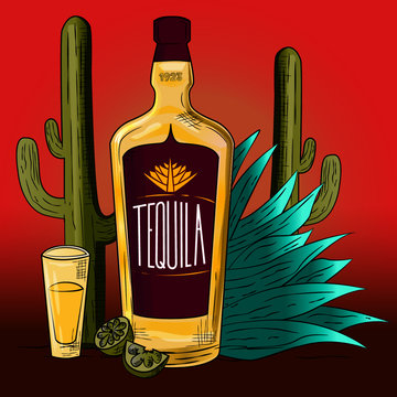 Ilustraci&oacute;n vector de tequila. Botella, vaso de chupito y agave.