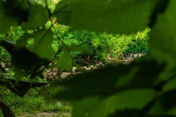 Walking and taking photos in Quebec city