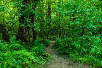 Walking and taking photos in Quebec city
