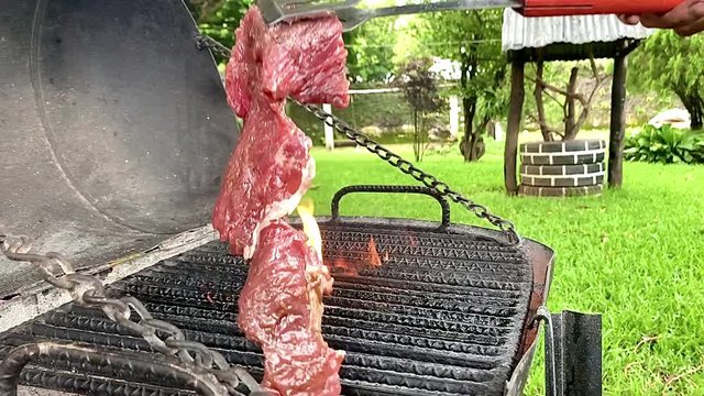 grilling meat outdoors, on a handmade grill