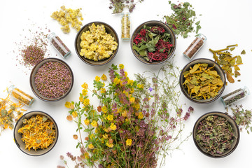 Bowls of dry medicinal herbs, healing plants bunches and bottles of dry medicinal plants on white...