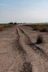 vehicle tracks in the sand