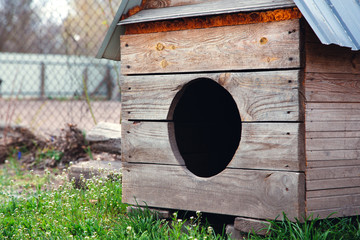 Big wooden doghouse on a house backyard