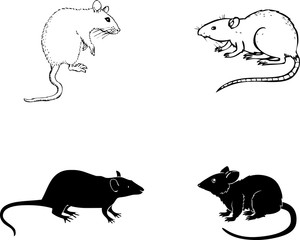 set of rats