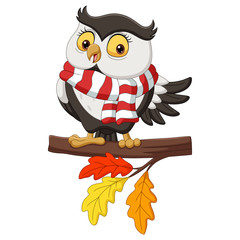 Cute autumn owl cartoon wearing a scarf on tree branches