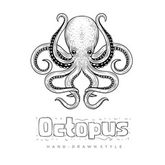 hand drawn style octopus vector. vintage animal illustrations look realistic © aritha