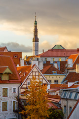 Baltic States, Estonia, Tallinn. Rooftops near city walls.