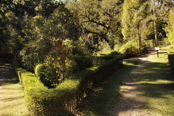 path in the park